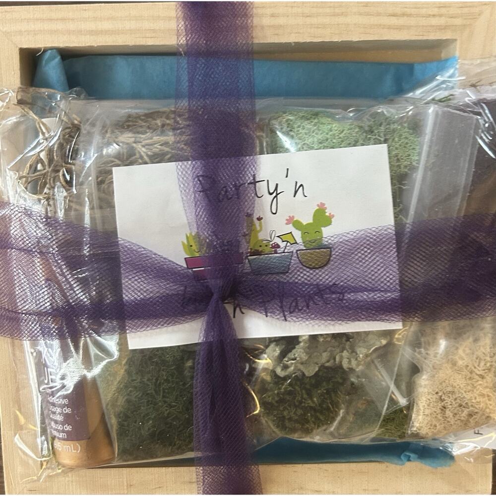 DIY Craft Party’n With Plants Moss Wall Art Kit